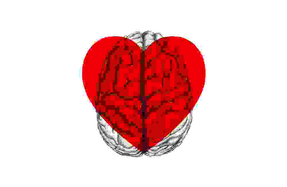 An illustration of a heart and a brain on top of each other